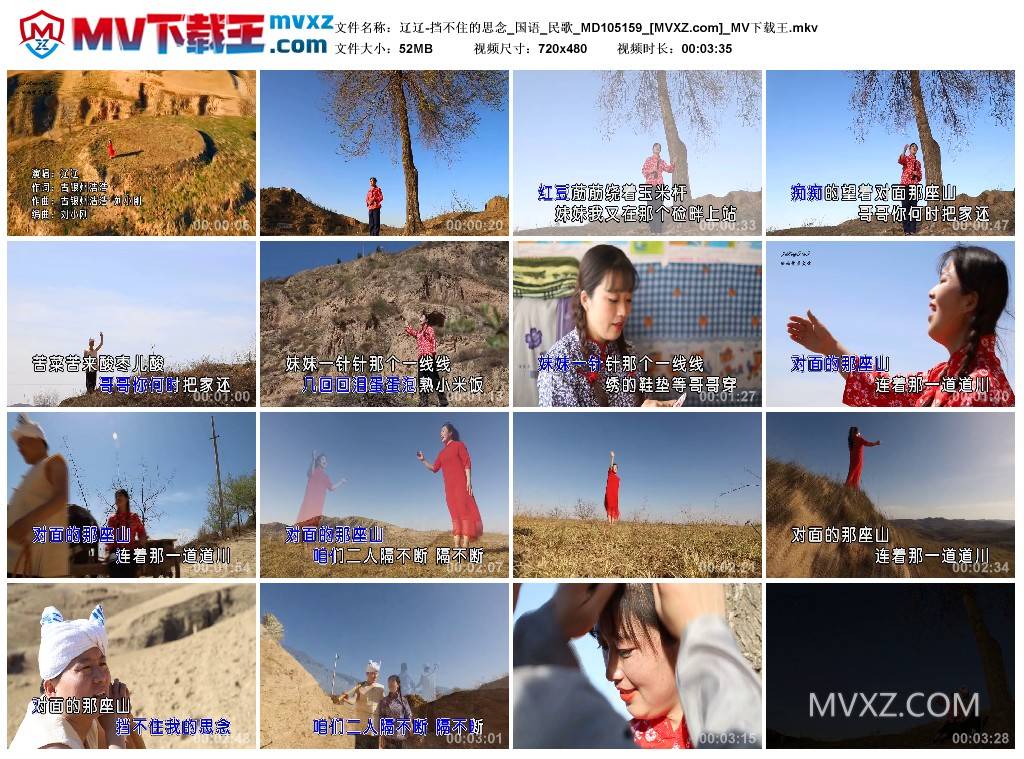 辽辽-挡不住的思念_国语_民歌_MD105159